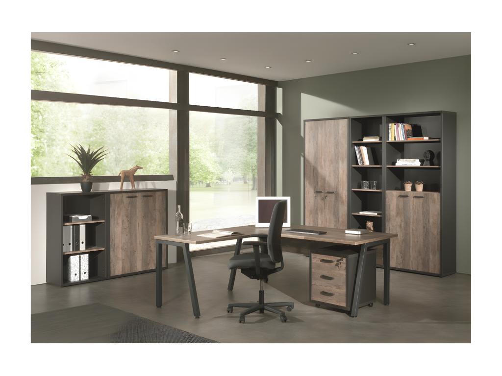 Office Cabinet - 2 Doors and Shelves in Aged Oak and Black - Homelumiere Collection