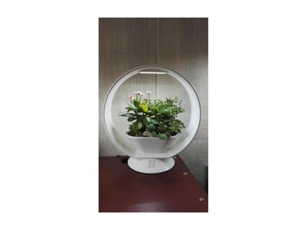 Playful LED lamp with integrated planter, Bohometope, and Bluetooth speaker, 25 LEDs, 66523LTAG