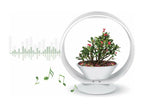Playful LED lamp with integrated planter, Bohometope, and Bluetooth speaker, 25 LEDs, 66523LTAG