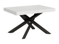 Extendable table 90x140/244 cm Volantis White Ash Anthracite frame 00739UABT
