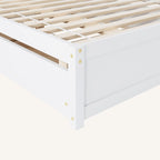 Full Bed With Twin Size Trundle And 2 Drawers