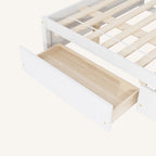 Full Bed With Twin Size Trundle And 2 Drawers