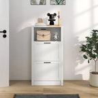 Shoe Storage Cabinet with Open Compartment and 2 Flip Drawers