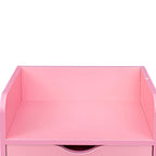 RR 4 -Layer Salon Storage Cabinet