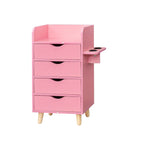 RR 4 -Layer Salon Storage Cabinet