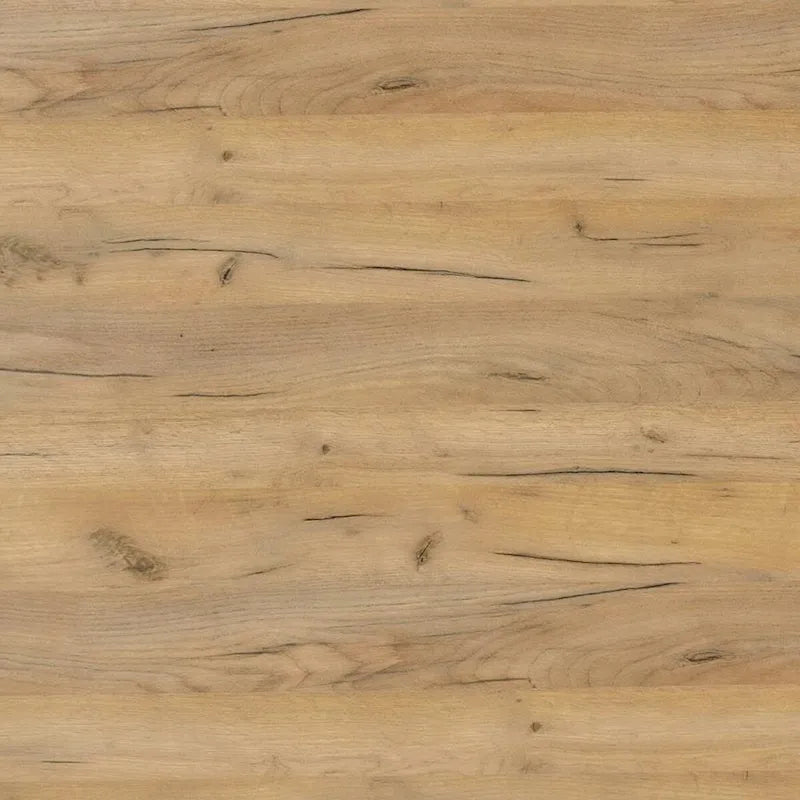 2 Doors Accent Cabinet with Metal Legs in Golden Oak and Black